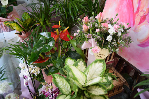 Jardín
