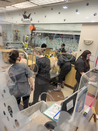 Pet Supply Store «PetSmart», reviews and photos, 30 Malphrus Rd, Bluffton, SC 29910, USA