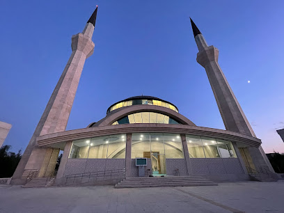 Fırat Üniversitesi Camisi