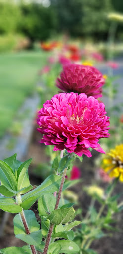 Country Club «Meridian Valley Country Club», reviews and photos, 24830 136th Ave SE, Kent, WA 98042, USA