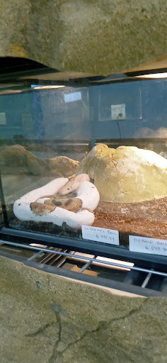 Pet Store «Zookeeper Exotics», reviews and photos, 9012 Research Blvd, Austin, TX 78758, USA