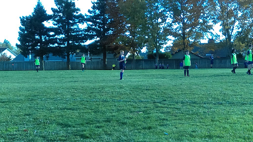 Dessert Shop «Vampire Penguin Shaved Snow and Desserts», reviews and photos, 9135 W Stockton Blvd, Elk Grove, CA 95758, USA