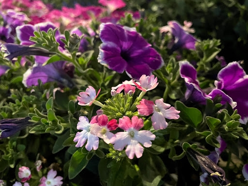 Home Improvement Store «The Home Depot», reviews and photos, 899 County St, Taunton, MA 02780, USA