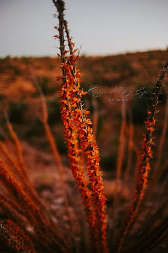 Hiking Area «Monolith Garden Trail», reviews and photos, Metwell Dr, Kingman, AZ 86401, USA