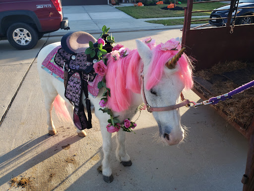 Pretty Pony Parties