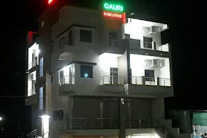 Hotel Gauri Executive image