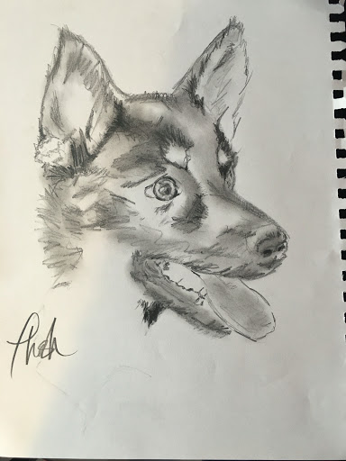 Pet Groomer «ÅSKA Pet Spa & Boutique», reviews and photos, 197 E 7th St, St Paul, MN 55101, USA