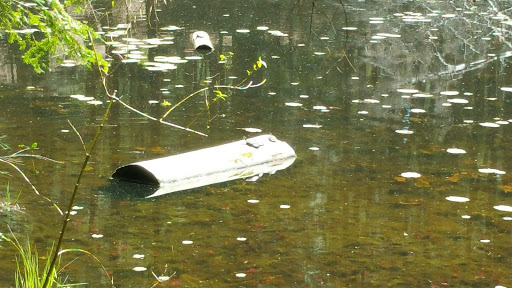 Community Center «Wason Pond Community Center, Chester NH», reviews and photos, 603 Raymond Rd, Chester, NH 03036, USA