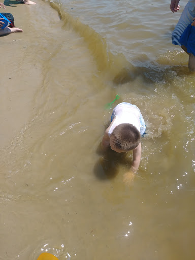 Park «Van Buren Park Beach», reviews and photos, 50901 S Interstate 94 Service Dr, Belleville, MI 48111, USA