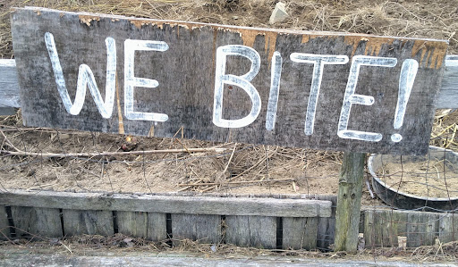 Orchard «George Hill Orchards», reviews and photos, 582 George Hill Rd, South Lancaster, MA 01561, USA