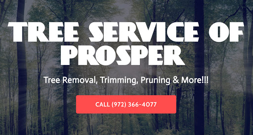Tree Service of Prosper