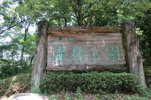 Ishikawa Forest Park image
