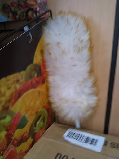 Convenience Store «7-Eleven», reviews and photos, 673 State St, Madison, WI 53703, USA