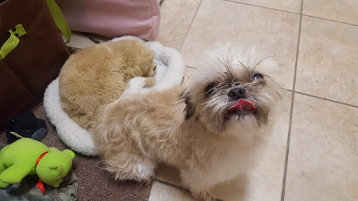 Pet Supply Store «Petco Animal Supplies», reviews and photos, 1410 N Loop 336 W, Conroe, TX 77304, USA