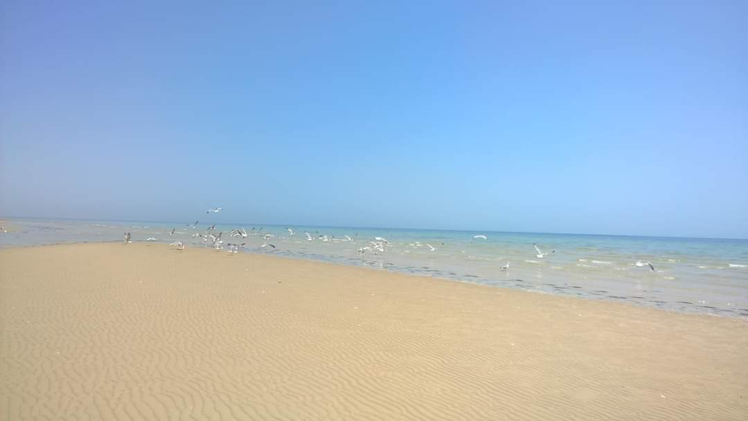 Φωτογραφία του Chaffar beach με τυρκουάζ νερό επιφάνεια