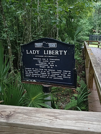 Park «Big Tree Park», reviews and photos, 761 General Hutchison Pkwy, Longwood, FL 32750, USA