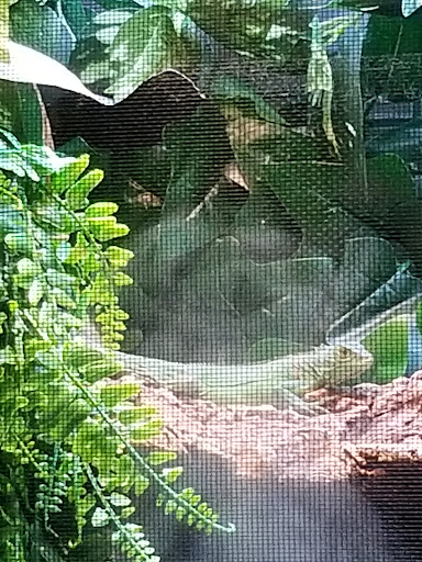 Pet Store «Everything Pets», reviews and photos, 1506 Altamont Ave, Schenectady, NY 12303, USA