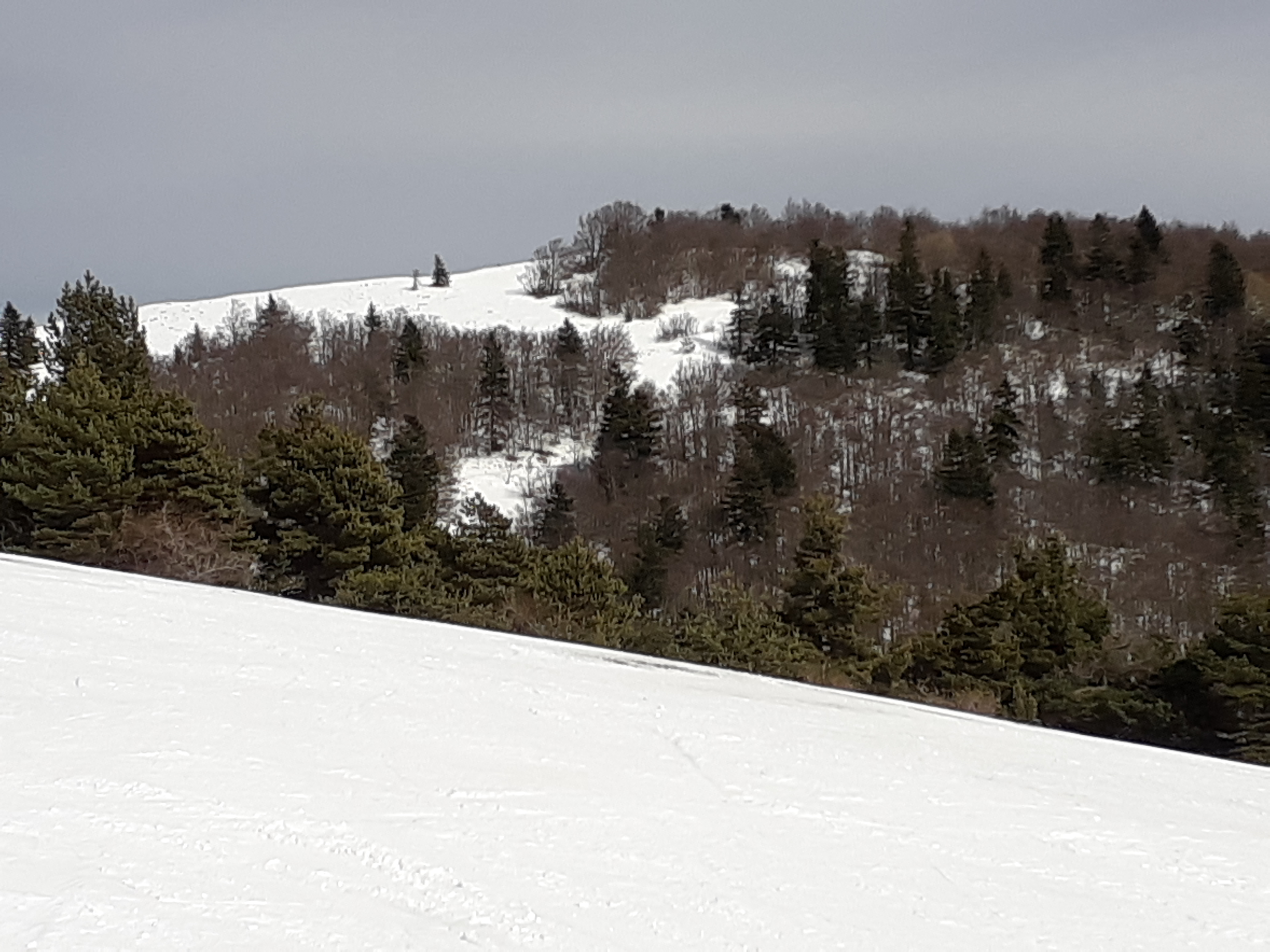Photo n° 1 de l'avis de Chopinou.i fait le 12/02/2019 à 19:44