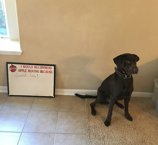 Moving Company «Apple Moving Houston», reviews and photos, 2235 Atascocita Road, Humble, TX 77396, USA