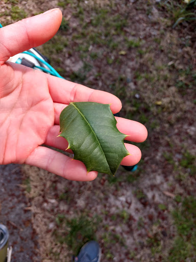 Golf Course «Paint Branch Golf Course», reviews and photos, 4690 University Blvd E, College Park, MD 20740, USA