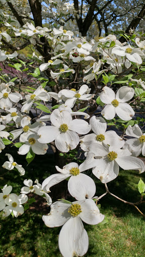 Park «Potomac Overlook Regional Park», reviews and photos, 2845 Marcey Rd, Arlington, VA 22207, USA