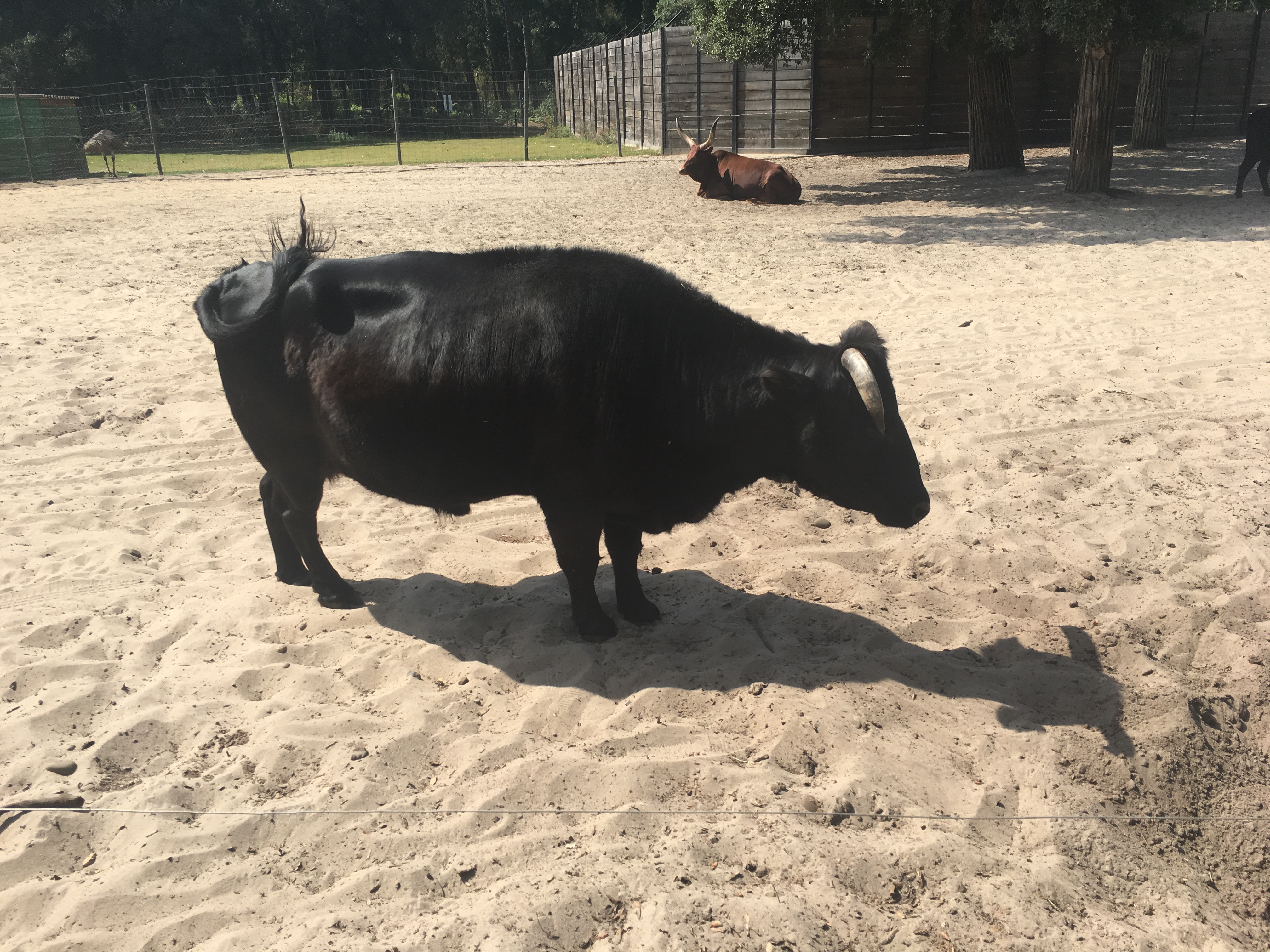 Photo n° 23 de l'avis de Coco.p fait le 24/08/2017 à 14:18
