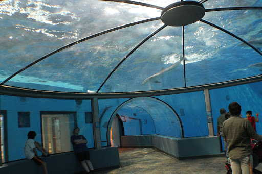 Zoo «Indianapolis Zoo», reviews and photos, 1200 W Washington St, Indianapolis, IN 46222, USA