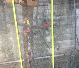 El Mexicano buffet photo