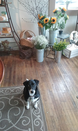 Florist «The Garden Path», reviews and photos, 213 4th St, Castle Rock, CO 80104, USA