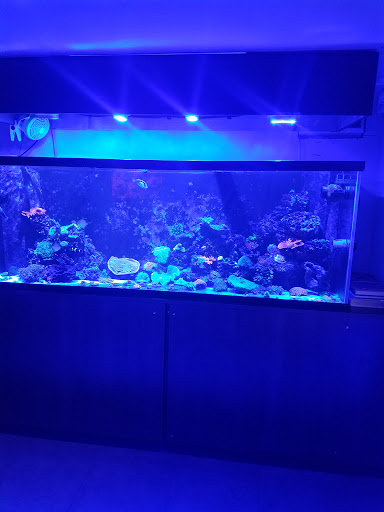 Tropical Fish Store «Hydra Aquatics International, Inc.», reviews and photos, 1300 Stirling Rd #7a, Dania Beach, FL 33004, USA