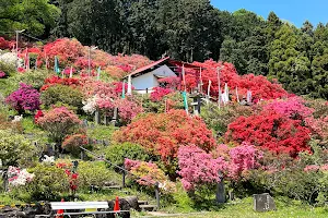 Go-daison Azalea Park image