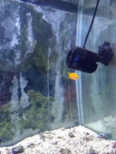 Pet Store «Pet World Ltd», reviews and photos, 14501 Warwick Blvd, Newport News, VA 23608, USA