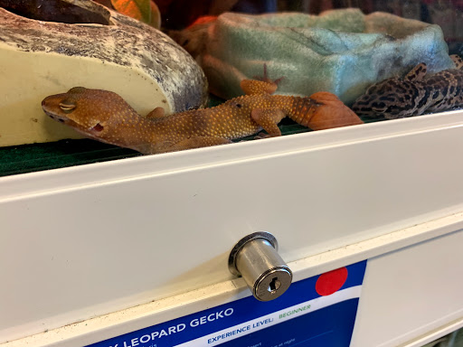 Pet Supply Store «PetSmart», reviews and photos, 4180 US-1, Monmouth Junction, NJ 08852, USA