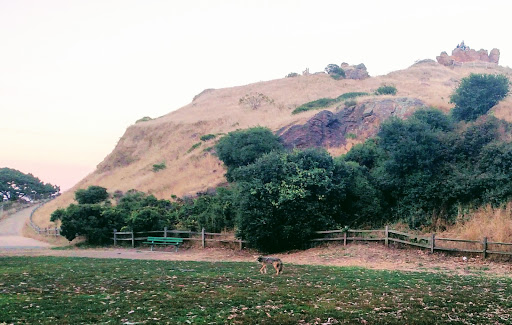 Park «Corona Heights Park», reviews and photos, Roosevelt Way & Museum Way, San Francisco, CA 94114, USA