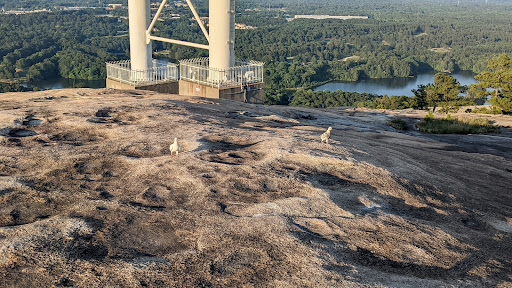 State Park «Stone Mountain Park», reviews and photos, 1000 Robert E Lee Blvd, Stone Mountain, GA 30083, USA