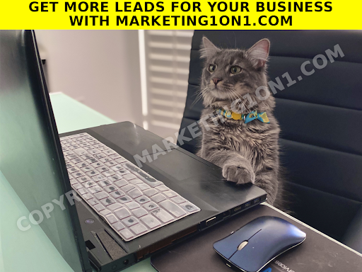 Digital Marketing 1on1 Anaheim SEO image