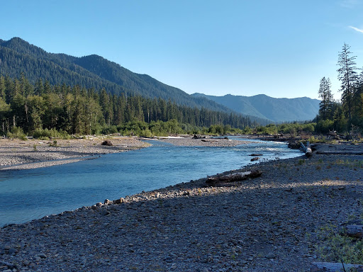 Campground «Hard Rain Cafe», reviews and photos, 5763 Upper Hoh Rd, Forks, WA 98331, USA