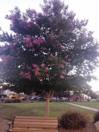 Memorial Park «Veterans Memorial Park», reviews and photos