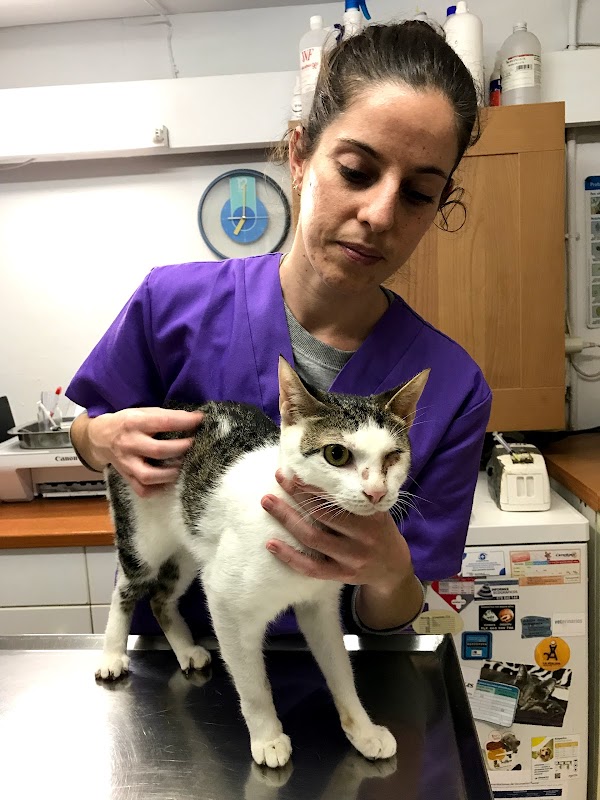 Clínica Veterinaria Paco