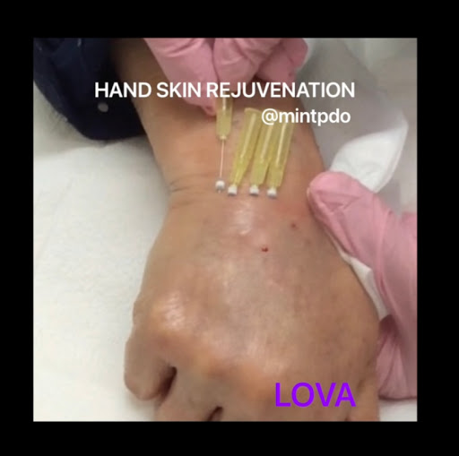 Explore snook tattoo ideas, creative tattoo ideas in Lake Oswego, available at Lake Oswego Vein and Aesthetic LOVA