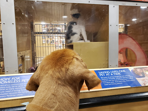 Pet Supply Store «PetSmart», reviews and photos, 6348 Foothill Blvd, Tujunga, CA 91042, USA