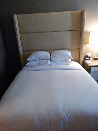 Hotel «DoubleTree by Hilton Hotel Reading», reviews and photos, 701 Penn St, Reading, PA 19601, USA