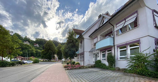 Heiner Schenk, Tierarzt unter Wildberg, Baden Württemberg