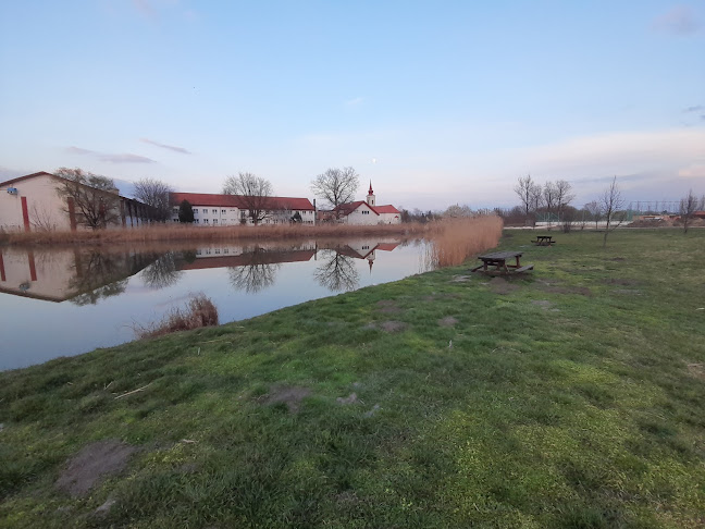 Nyitvatartás: Seregélyesi Sportpark