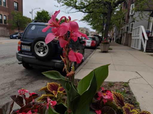 Park «Welles Park», reviews and photos, 2333 W Sunnyside Ave, Chicago, IL 60625, USA