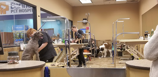 Banfield Pet Hospital image
