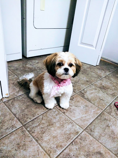 Pet Supply Store «Pet Supplies Plus», reviews and photos, 5394 Kemps River Dr Suite 101, Virginia Beach, VA 23464, USA