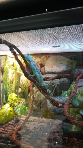 Pet Supply Store «Petco Animal Supplies», reviews and photos, 2131 Pleasant Hill Rd, Duluth, GA 30096, USA