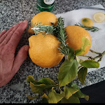 Photo n°1 de l'avis de Linze.e fait le 10/09/2023 à 14:12 sur le  Almar Hotel Apartamento à Albufeira, Algarve