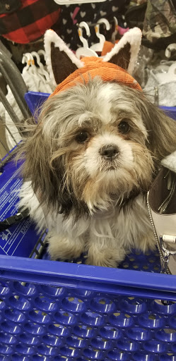 Pet Supply Store «PetSmart», reviews and photos, 1321 W Craig Rd, North Las Vegas, NV 89032, USA